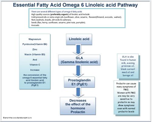 Essential Fatty Acid Omega 6 Linoleic acid Pathway
